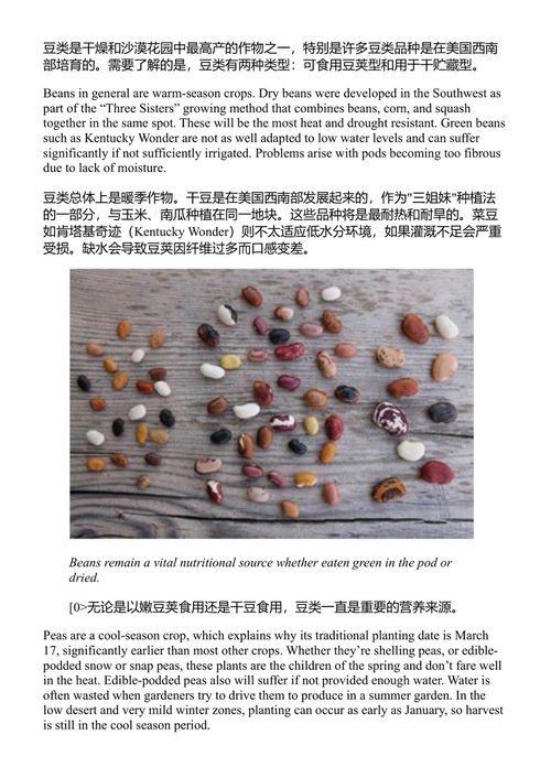 在干旱、沙漠与干燥时节种植蔬菜(十周年纪念版) 莫琳·吉尔默 (中英对照电子书)