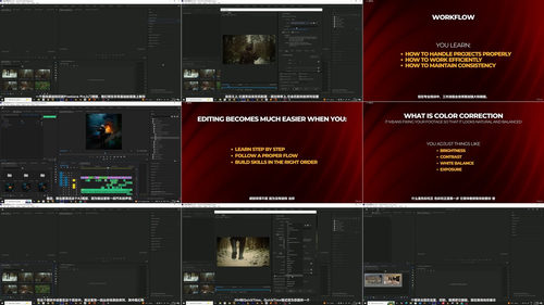 Adobe Premiere Pro零基础入门:从零开始学视频剪辑 (英文课程中文字幕)