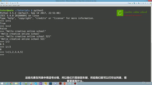 从零开始学Python:新手入门实战课 (英文课程中文字幕)