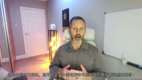 ISO内部审核员课程  (中文字幕英文视频教程)