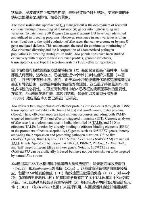 水稻白叶枯病 凯利安·K·蒙达尔 (中英对照电子书)