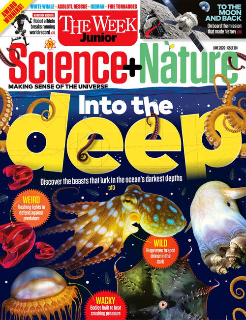 科学自然杂志 2026年6月第101期 (英文期刊)