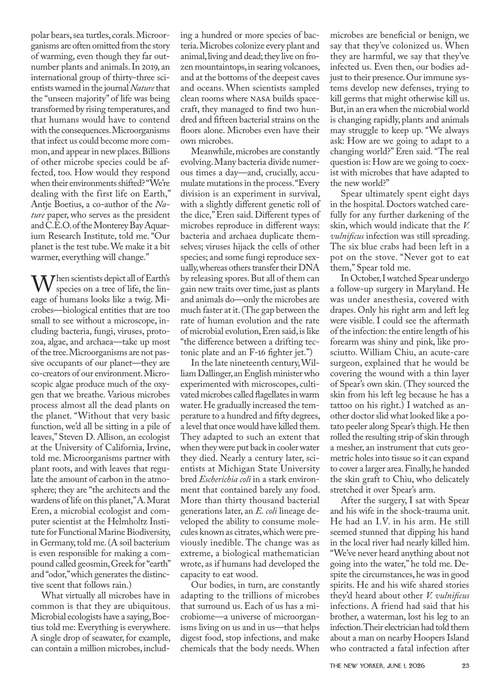 纽约客 2026年6月1日刊 (英文期刊)