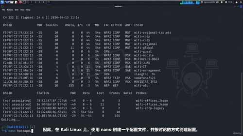 Kali Linux WiFi渗透测试实战课程 (英文课程中文字幕)