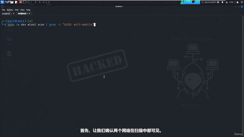Kali Linux WiFi渗透测试实战课程 (英文课程中文字幕)