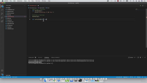Python基础快速上手 (英文课程中文字幕)