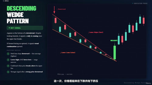 外汇与股票交易技术分析实战课 (英文课程中文字幕)