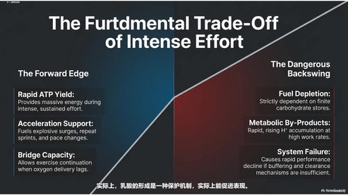 打造不可阻挡的运动员：最大摄氧量与乳酸阈值训练指南 (英文课程中文字幕)