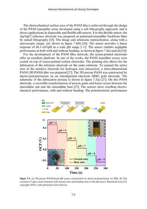 高级电化学pH传感技术 利布·曼贾卡尔 (英文电子书)
