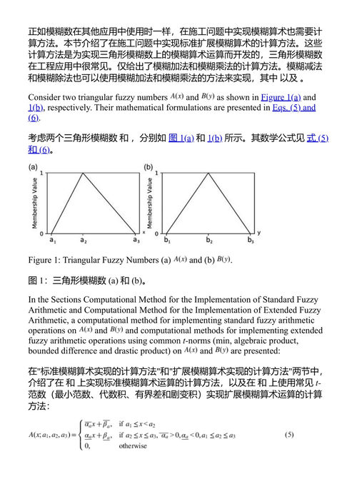建筑工程与管理中的模糊混合计算：理论与应用 阿米娜·罗宾逊·法耶克 (中英对照电子书)