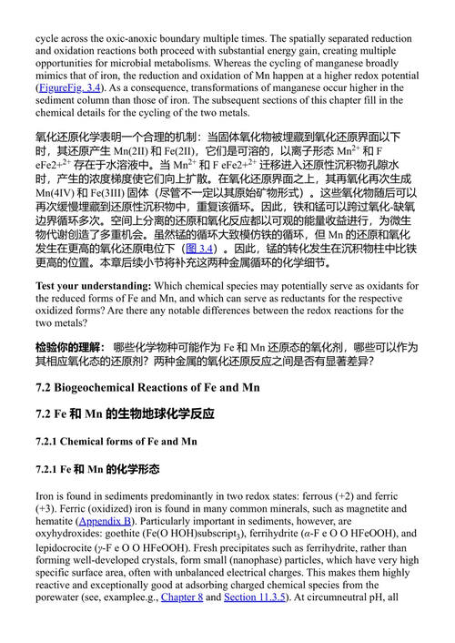 沉积地球化学导论 谢尔盖·卡采夫 (中英对照电子书)