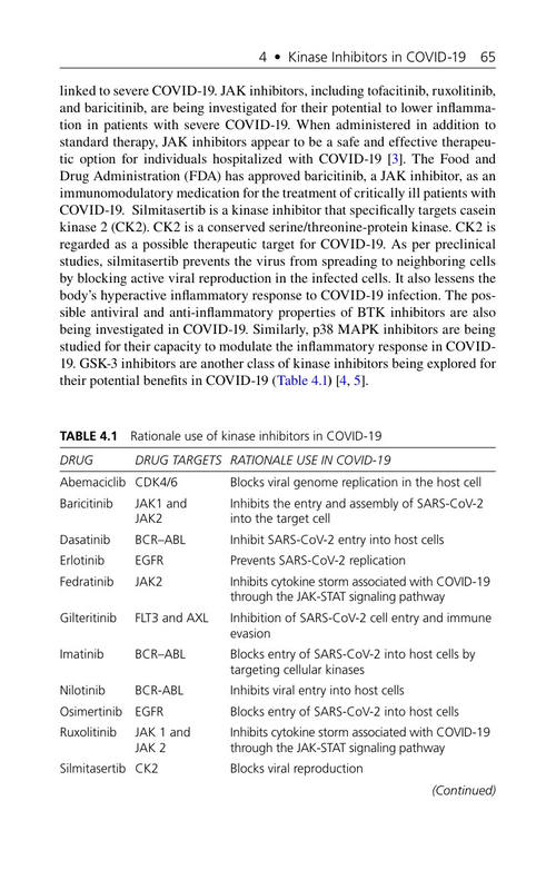 激酶抑制剂：合成、药理效应与应用 比斯瓦·莫汉·萨胡 等 (英文电子书)