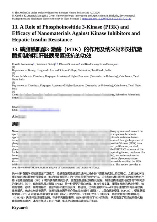 绿色纳米技术:生物燃料、环境管理与医疗保健的创新与应用 (中英对照电子书)