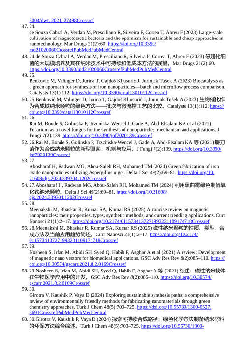 绿色纳米技术:生物燃料、环境管理与医疗保健的创新与应用 (中英对照电子书)