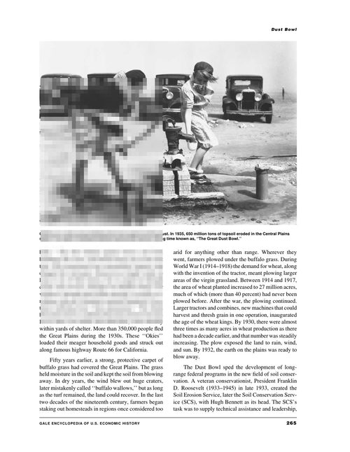 美国经济史百科全书 托马斯·卡森 (英文电子书)