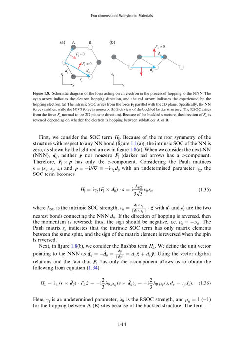 二维谷电子学材料：从原理到器件应用 (英文电子书)
