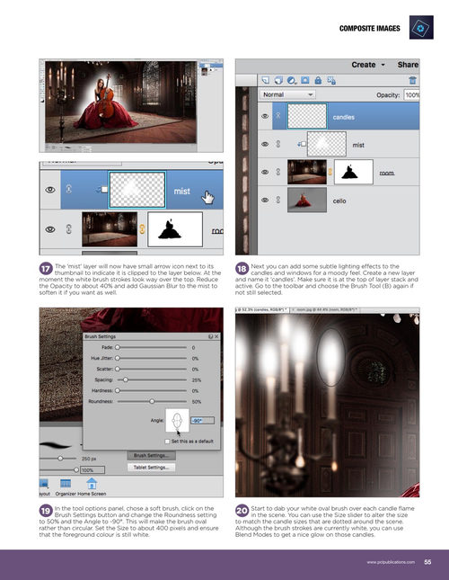 Adobe Elements技巧与窍门 第21版 (英文电子书)