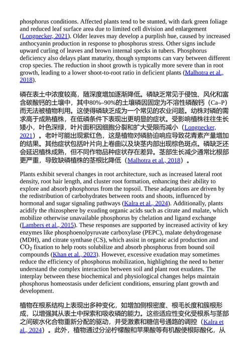 农业中的磷管理策略与资源再利用 （中英对照电子书）