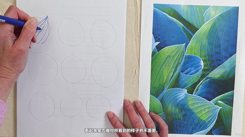 专业人士正念创造力：初学者之心 (英文课程中文字幕)