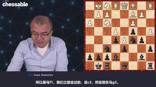 [中文配音]国际象棋西班牙开局布雷耶变例深度解析