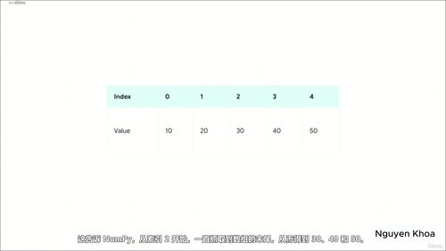 NumPy数据处理入门:用Python做实用的数据分析 (英文课程中文字幕)
