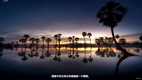 从零开始,系统掌握冥想的完整旅程 (英文课程中文字幕)