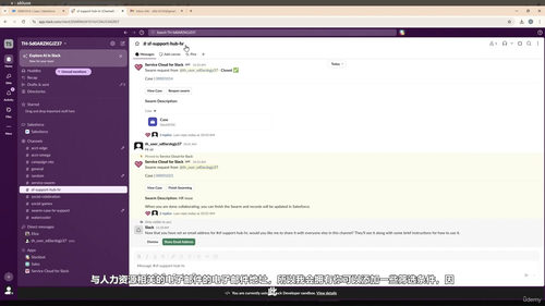精通Salesforce与Slack集成 (英文课程中文字幕)