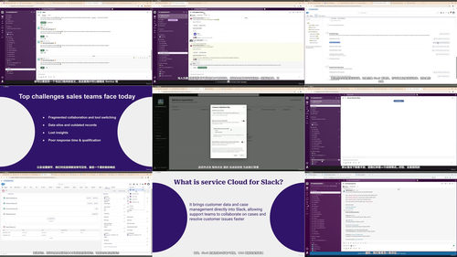 精通Salesforce与Slack集成 (英文课程中文字幕)