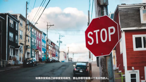 坚持——培养心理韧性与韧性 (英文课程中文字幕)