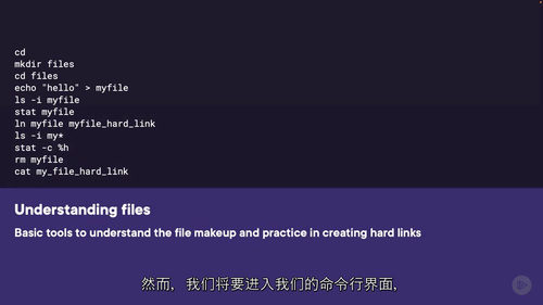 [中字] CompTIA Linux+（XK0-006）服务