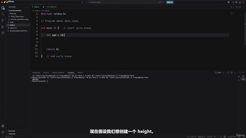 C语言编程入门教程 (英文课程中文字幕)