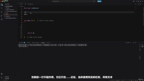C语言编程入门教程 (英文课程中文字幕)