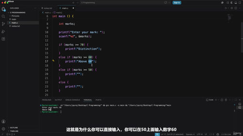 C语言编程入门教程 (英文课程中文字幕)