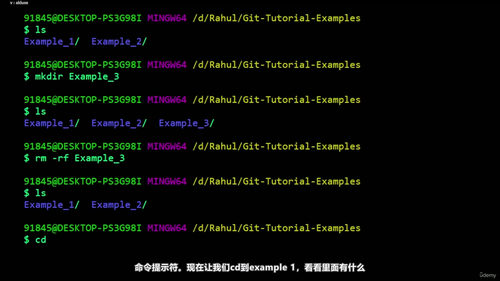 Git与GitHub实战教程 (英文课程中文字幕)