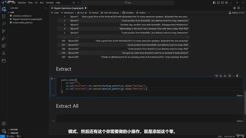 Python数据分析利器:Polars从入门到实践 (英文课程中文字幕)