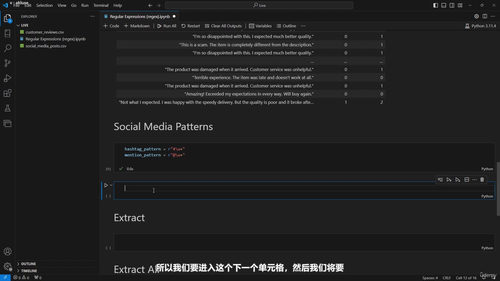 Python数据分析利器:Polars从入门到实践 (英文课程中文字幕)