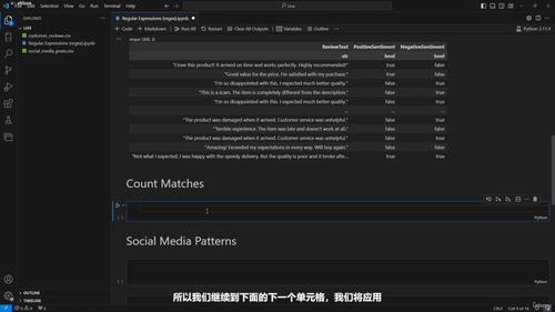 Python数据分析利器：Polars从入门到实践 (英文课程中文字幕)