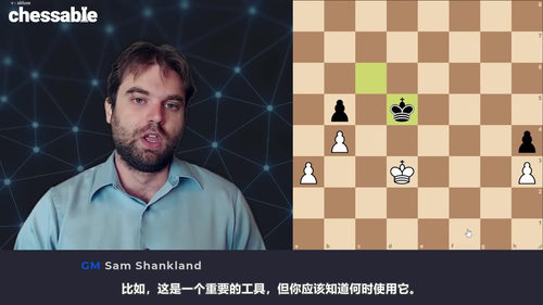 [中文配音]国际象棋残局策略（修订扩展版）