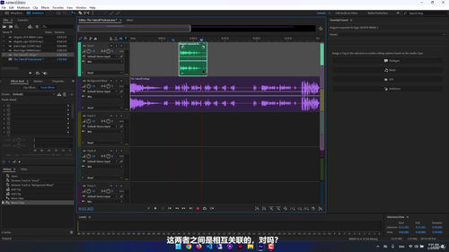 Adobe Audition音频编辑从入门到精通 (英文课程中文字幕)