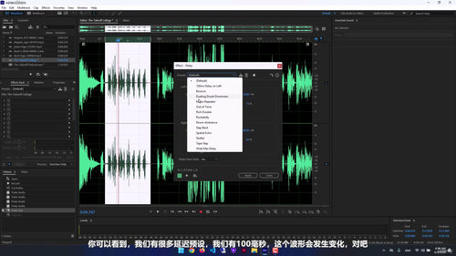 Adobe Audition音频编辑从入门到精通 (英文课程中文字幕)