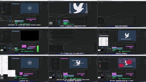 Adobe Premiere Pro从入门到精通 (英文课程中文字幕)