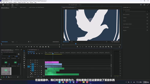 Adobe Premiere Pro从入门到精通 (英文课程中文字幕)