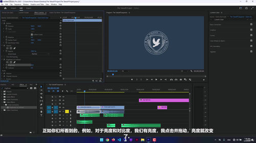 Adobe Premiere Pro从入门到精通 (英文课程中文字幕)