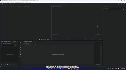 Adobe Premiere Pro从入门到精通 (英文课程中文字幕)