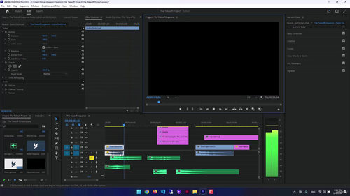 Adobe Premiere Pro从入门到精通 (英文课程中文字幕)