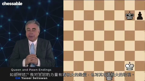 制胜国际象棋残局 —— 特级大师亚西尔・塞拉万精品课程(中文