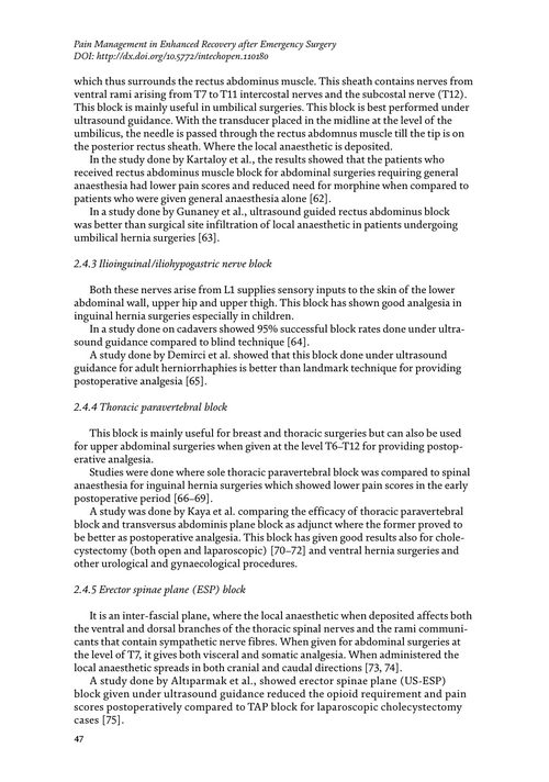 术后疼痛专题 维克托·M·惠扎罗-卢戈等主编 (英文电子书)