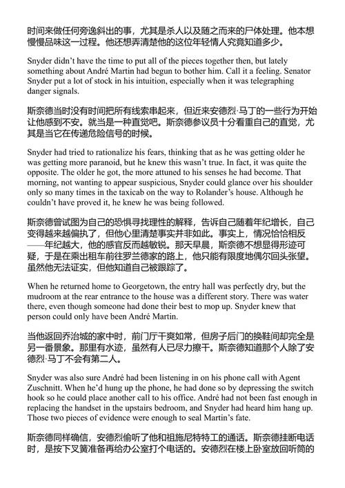 琉森之狮 布拉德·索尔 (中英对照电子书)