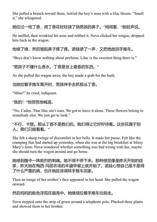 石头大法官 詹姆斯·帕特森与维奥拉·戴维斯 (中英对照电子书)