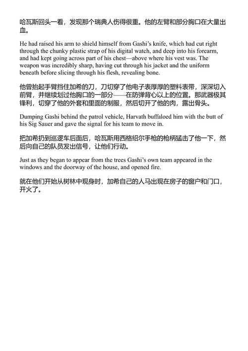 间谍大师 布拉德·索尔 (中英对照电子书)